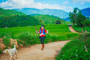 BIB: 
                            <button type="button" onclick="openModal(25042520)" class="btn btn-primary btn-sm float-right btn-popup" data-toggle="modal" data-target=".modal-high-quality">
                        <i class="fas fa-shopping-cart"></i> Add to Cart
                    </button>
                                            <button type="button" onclick="isThisMe(25042520, true)" class="btn btn-success btn-sm float-right btn-popup btn-isme hidden" data-toggle="tooltip" data-placement="bottom" title="นี่คือรูปของคุณใช่ไหม คลิกที่นี่เพื่อเอาเข้าอัลบั้ม">
                        <i class="fas fa-plus"></i> Add to album
                    </button>
                    <button type="button" onclick="isThisMe(25042520, false)" class="btn btn-warning btn-sm float-right btn-popup btn-isnotme hidden">
                        <i class="fas fa-ban"></i> Remove from album
                    </button>